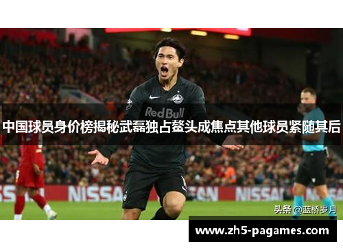 中国球员身价榜揭秘武磊独占鳌头成焦点其他球员紧随其后 中国球员身价榜揭秘武磊独占鳌头成焦点其他球员紧随其后