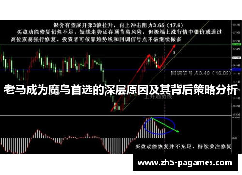 老马成为魔鸟首选的深层原因及其背后策略分析 老马成为魔鸟首选的深层原因及其背后策略分析
